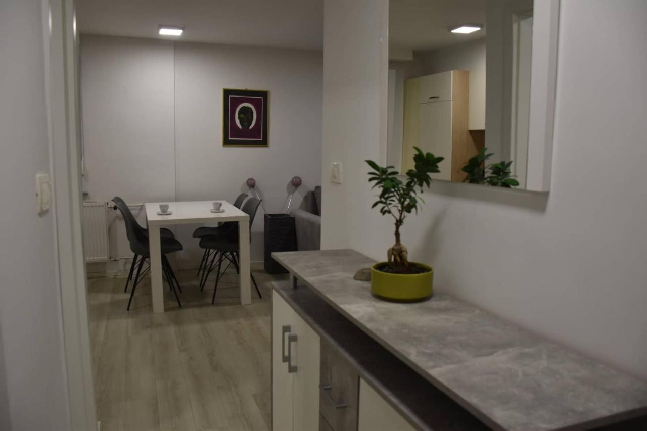 Beautiful Apartment By The Tivoli Park, Ljubljana Appartamento